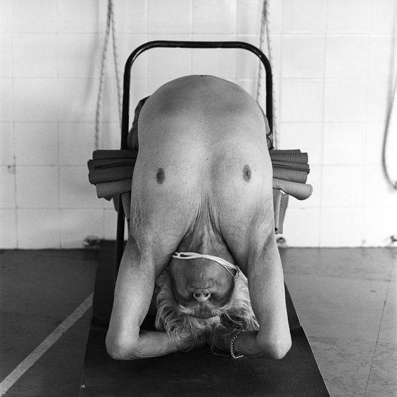 maitre yoga iyengar